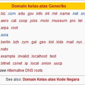 Apakah Domain Itu ? Pengertian Domain