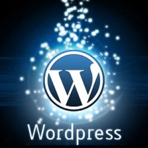 Cara Install / Upload Template Wordpress