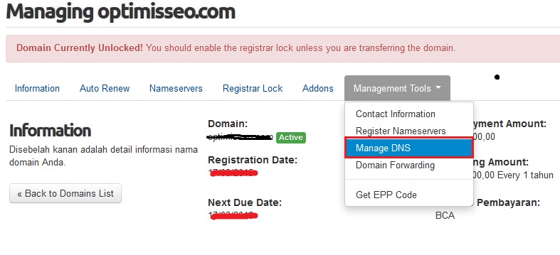 Cara Setting DNS Domain Blogspot di Rumahweb