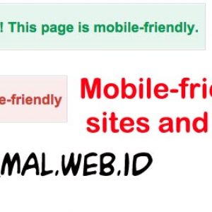 Mobile friendly Adalah Penentu dari SEO