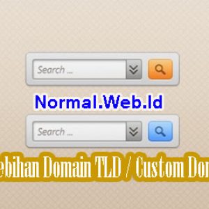 Kelebihan Domain TLD / Custom Domain Untuk Blog
