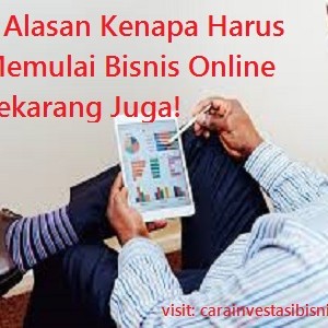 alasan-memulai-bisnis-online-carainvestasibisnis.com