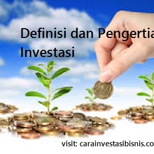 definisi-dan-pengertian-investasi