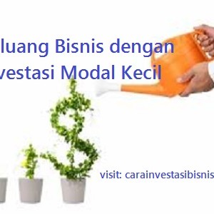 Ide Peluang Bisnis dengan Investasi Modal Kecil