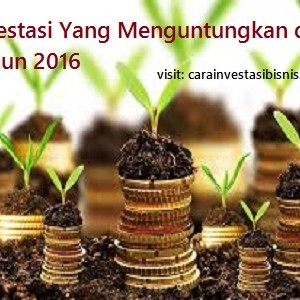 investasi yang menguntungkan di tahun 2016