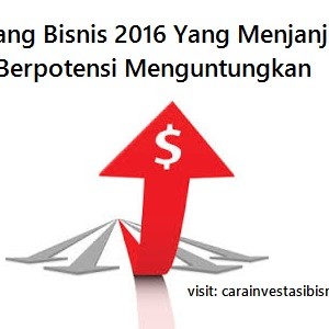 peluang bisnis 2016 yang menjanjikan dan menguntungkan