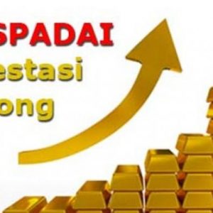 investasi bodong