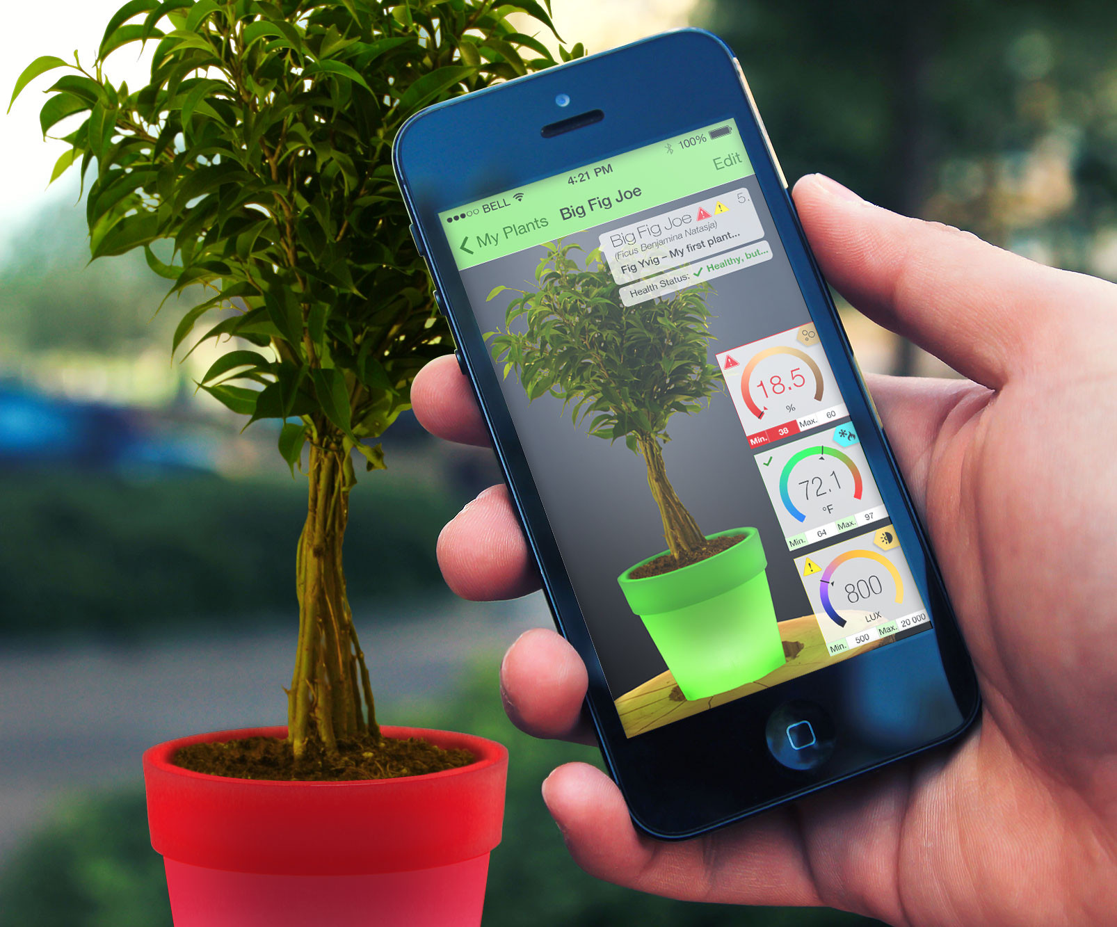 plant caring app