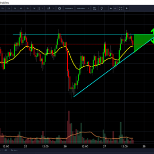 Bear Scenario bitcoin