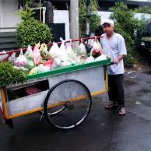 tukang sayuran