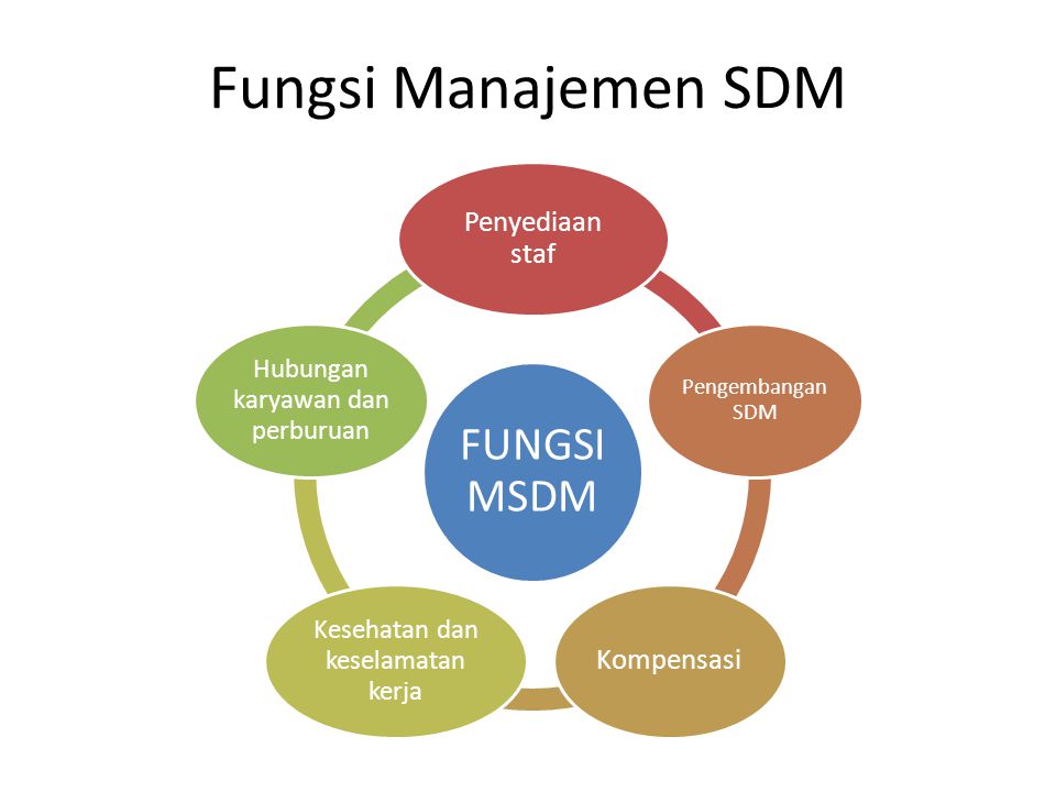 Manajemen dan SDM 