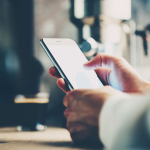 Netpreneur