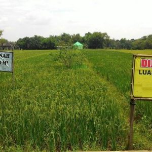 tanah dijual