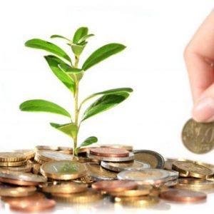 Meningkatkan Keuangan Rumah Tangga