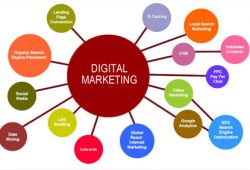 Bisnis Digital Marketing: Bisnis Yang Mendatangkan Dollar