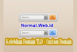 Kelebihan Domain TLD / Custom Domain Untuk Blog